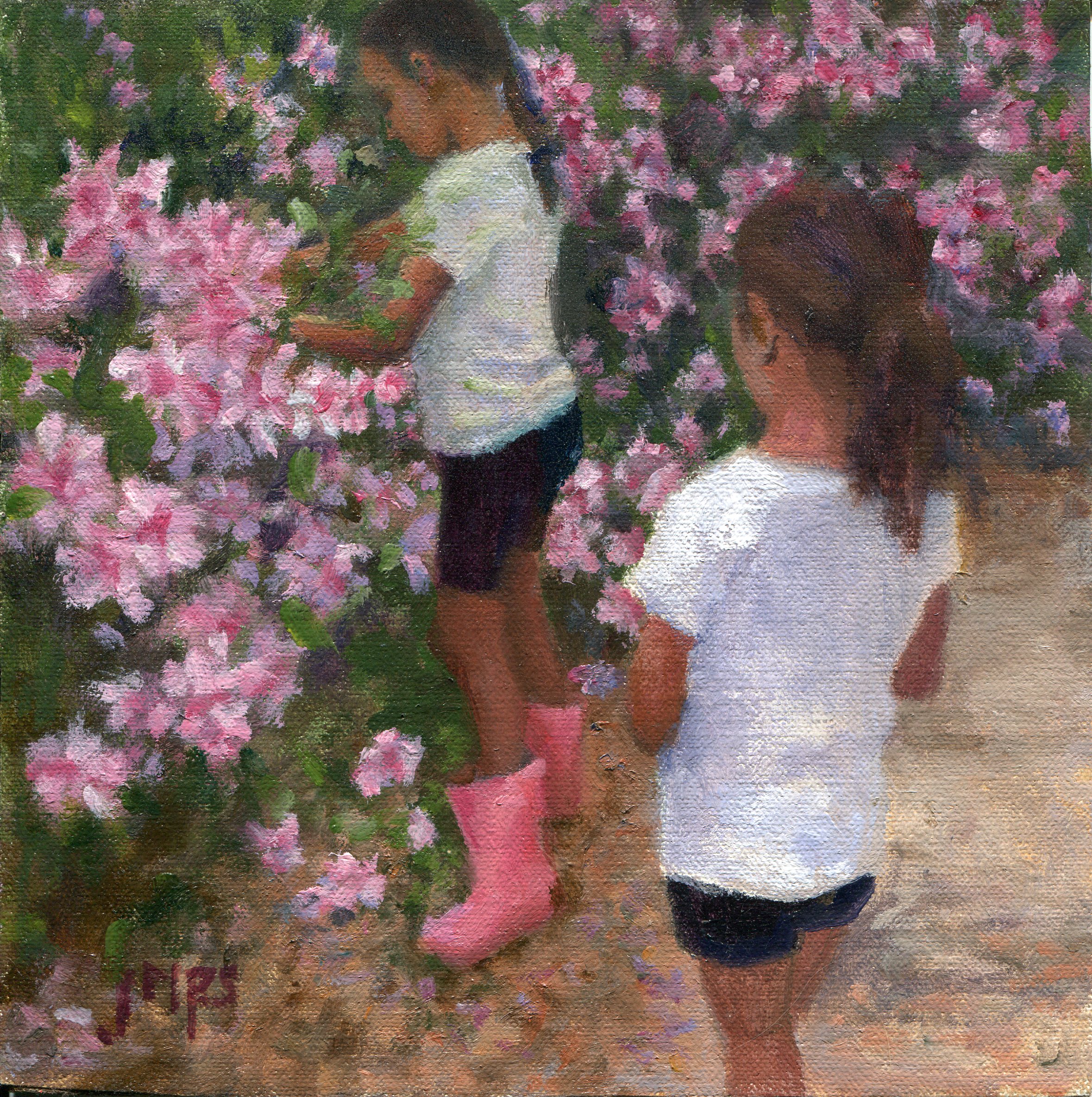Azalea Harvest