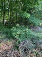 yard b4